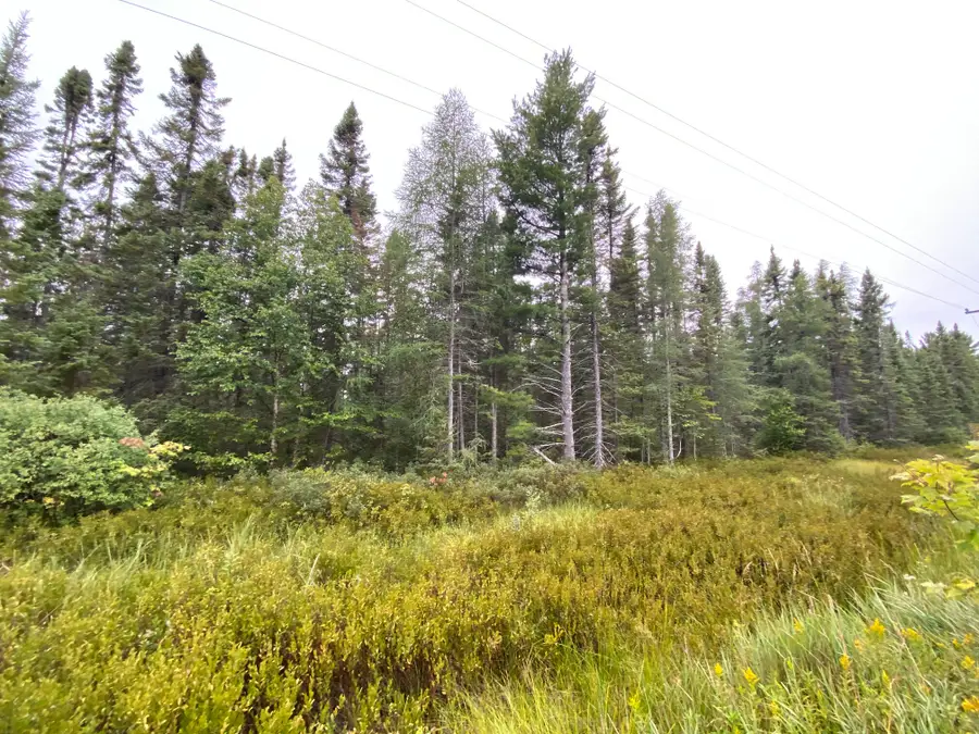 11401 N Whitefish Point Rd, Paradise, MI 49768 - #2