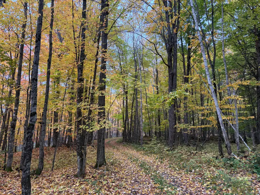 16506 S Scenic Dr, Barbeau, MI 49710 - #3