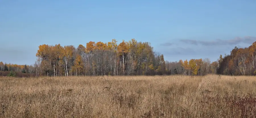 11344 M-28, Superior, MI 49715 - #3