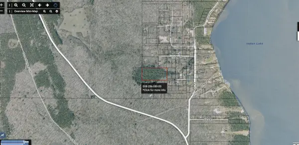 TBD None, Manistique, MI 49854