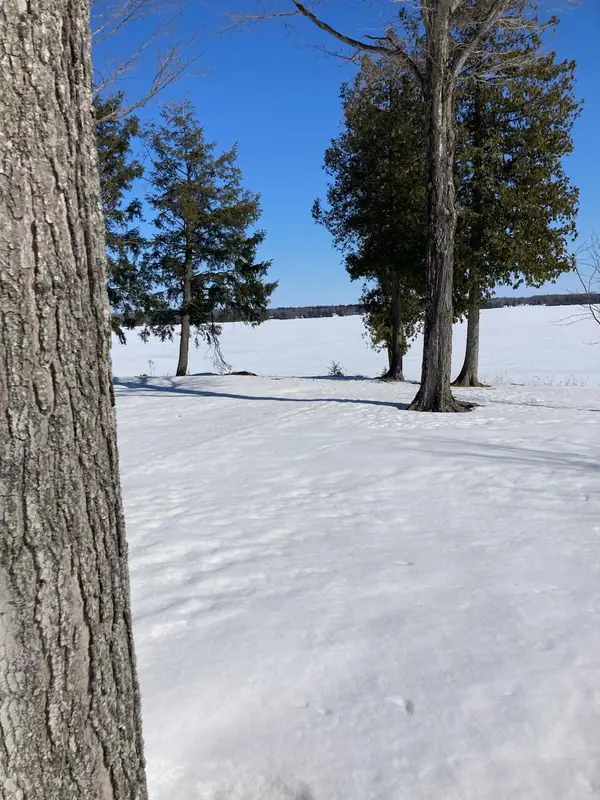 00 E South Caribou Lake Rd Rd, De Tour, MI 49725