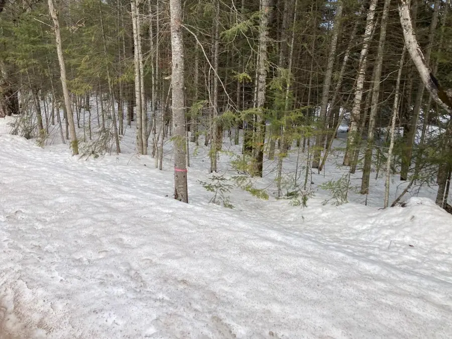 00 E South Caribou Lake Rd Rd, Detour, MI 49725 - #2