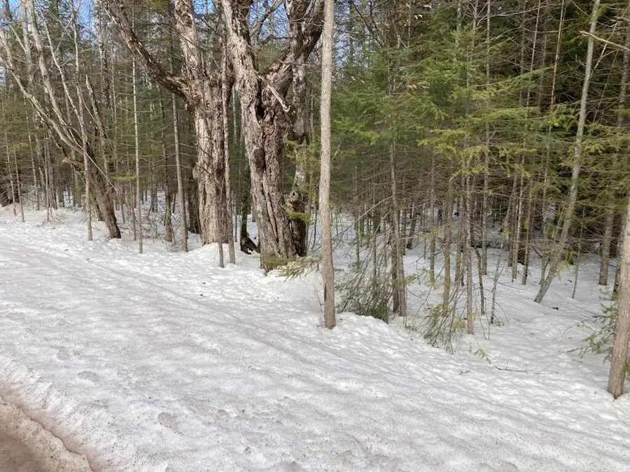 00 E South Caribou Lake Rd Rd, Detour, MI 49725 - #3