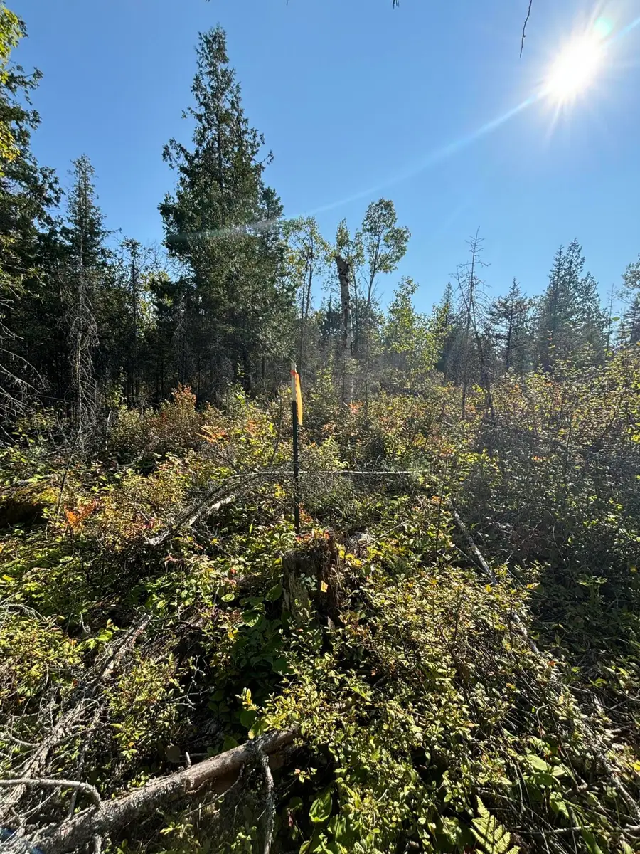 585 N Czech Ln, Hessel, MI 49745 - #3