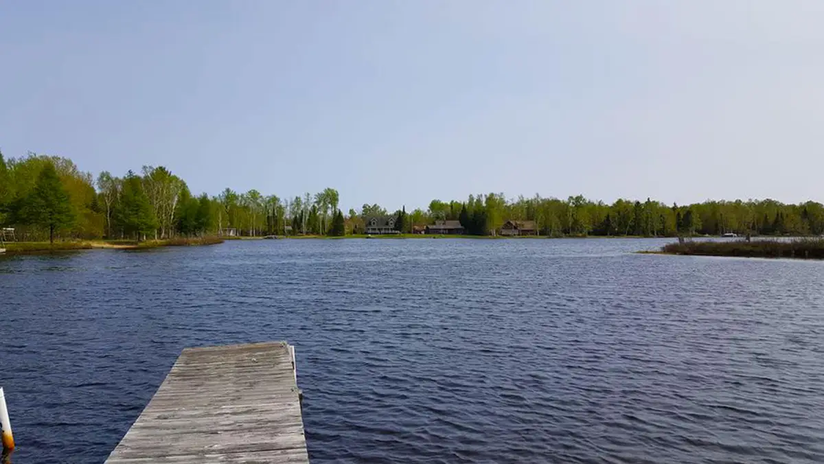 000 W Birch Shores Dr, Trout Lake, MI 49793 - #1