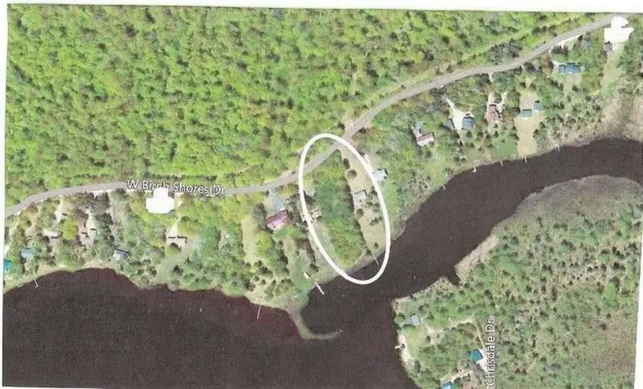 000 W Birch Shores Dr, Trout Lake, MI 49793 - #2