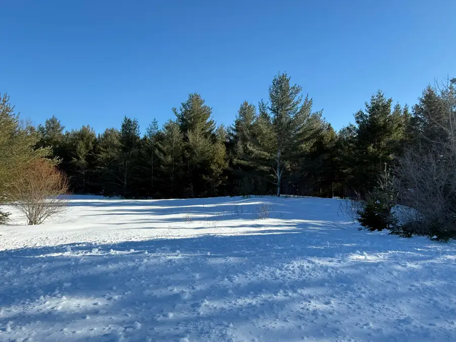 TBD S Townhall Rd, Sugar Island Township, MI 49783 - Image #2