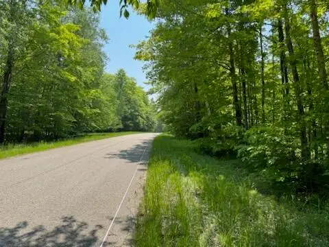 000 Co. Rd 98 & Co Rd 479, McMillan, MI 49853 - #1