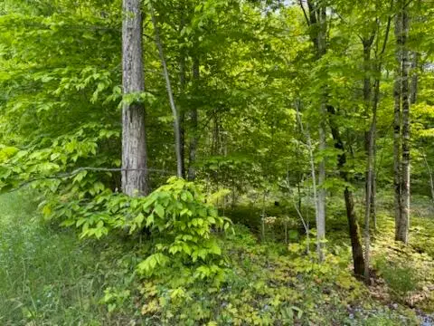 000 Co. Rd 98 & Co Rd 479, McMillan, MI 49853 - #3