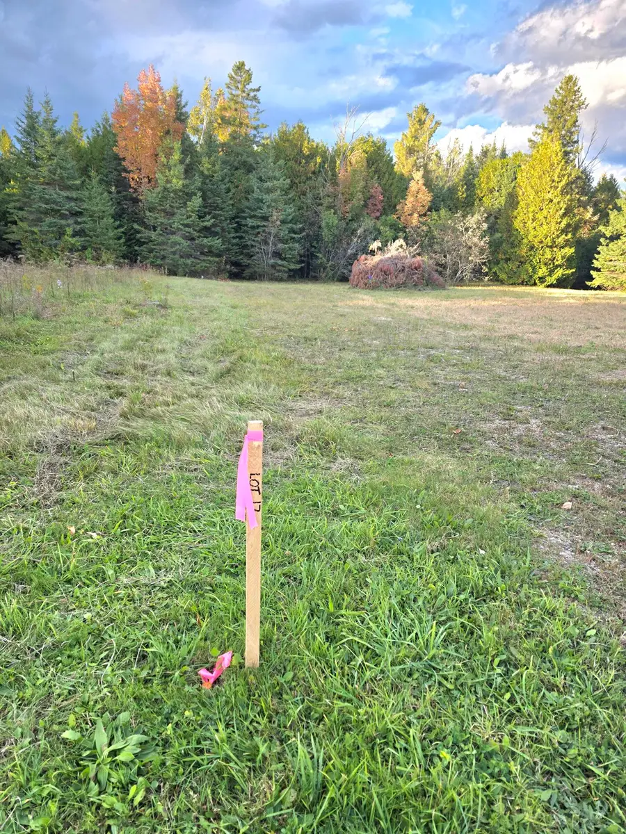 TBD W Portage St, Saint Ignace, MI 49781 - #2