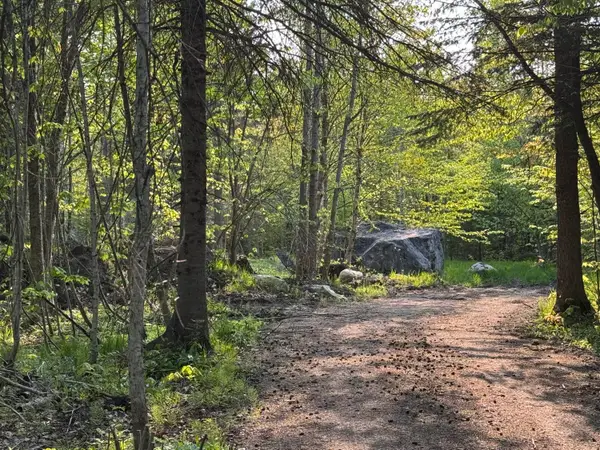 Corner Cnr Of Lowder & Williams Hill Rd, Grand Marais, MI 49839