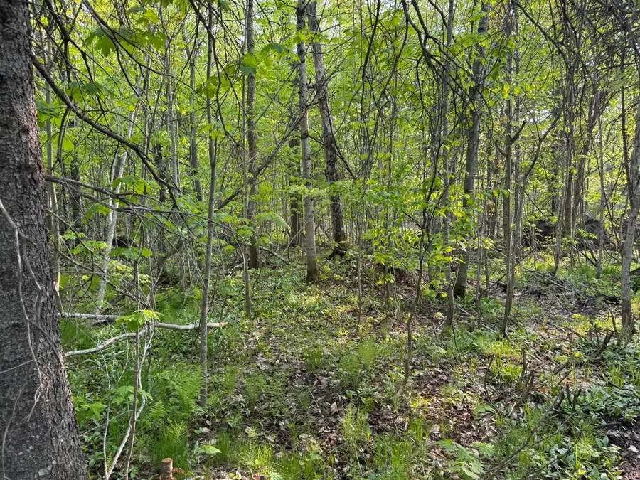 Corner Cnr Of Lowder & Williams Hill Rd, Grand Marais, MI 49839 - #2