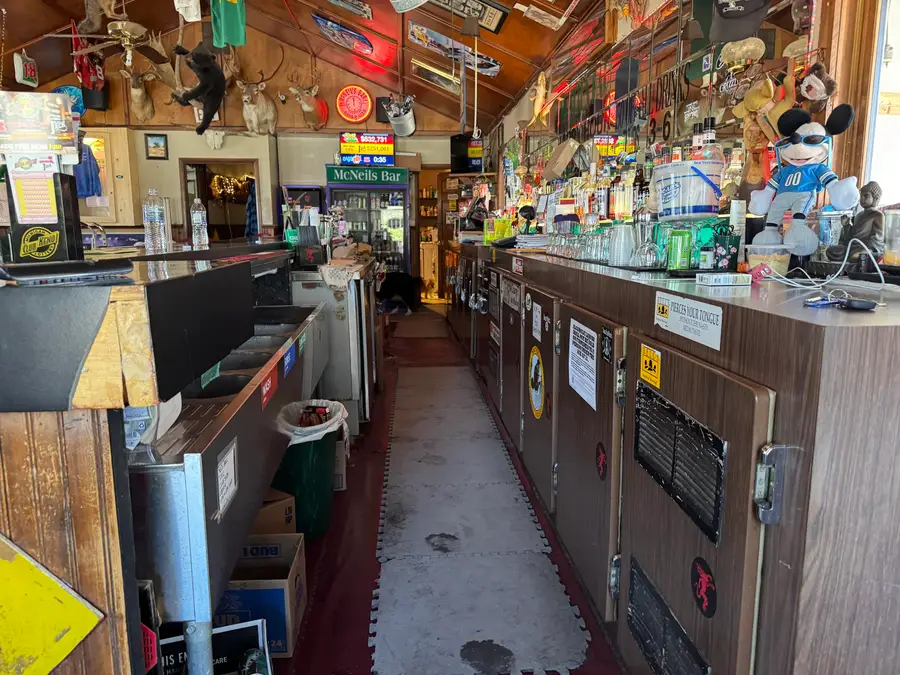 N6154 S Gould City Rd, Gould City, MI 49838 - #3