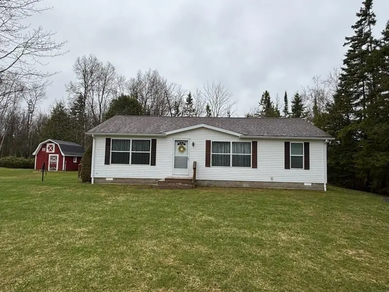 11229 W Main St, Rudyard, MI 49780 - #3