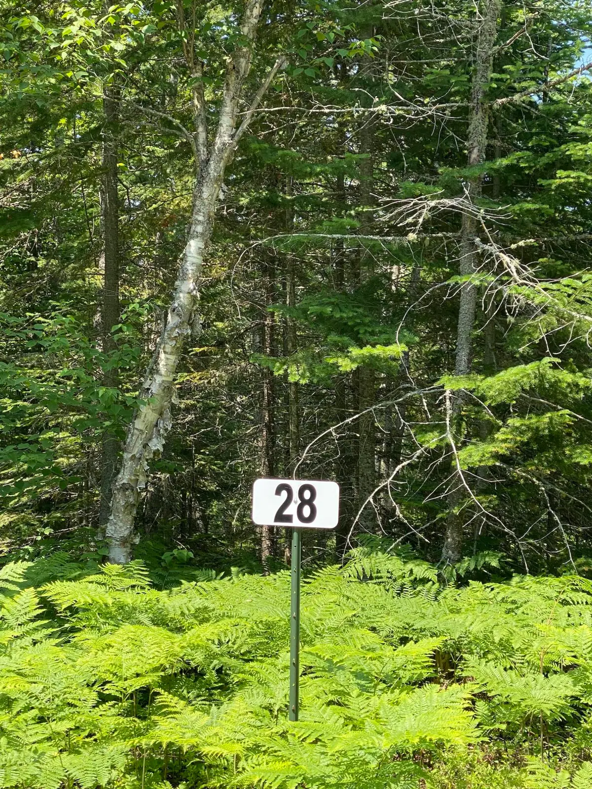 Lot 28 Third Creek Subdivision, Paradise, MI 49768 - #1