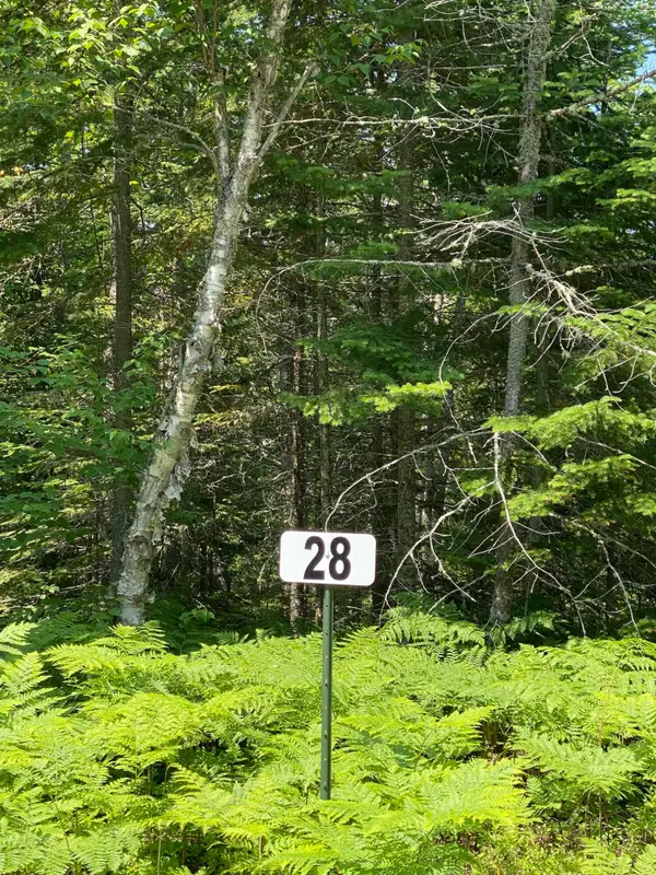 Lot 28 Third Creek Subdivision, Paradise, MI 49768