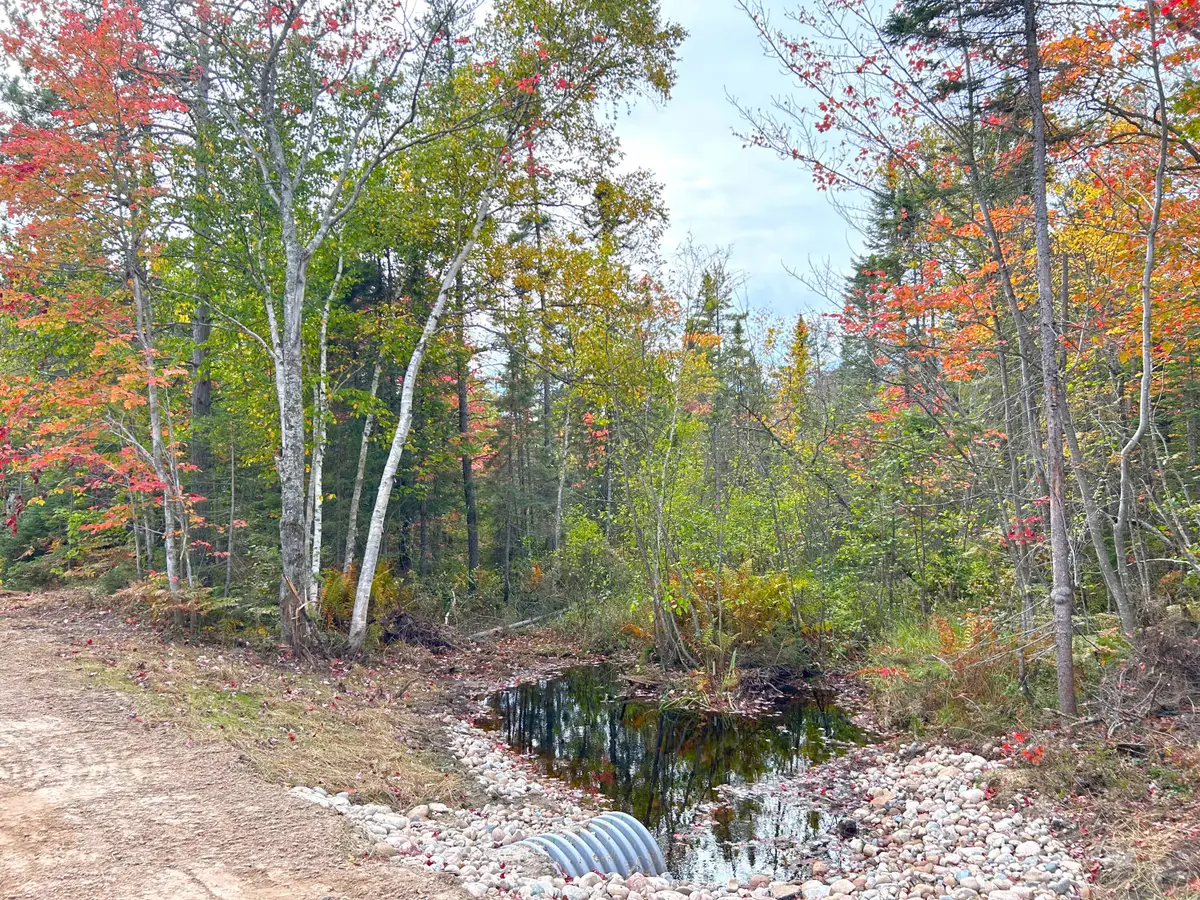 14659 N Whitefish Point Rd, Paradise, MI 49768 - #1