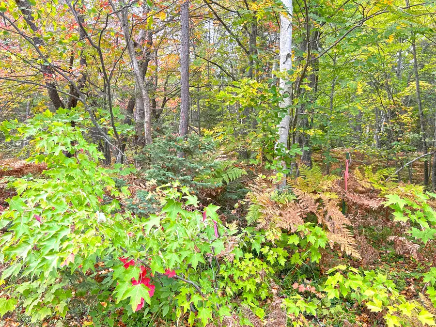 14659 N Whitefish Point Rd, Paradise, MI 49768 - #3
