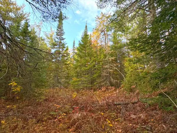 14859 N Whitefish Point Rd, Paradise, MI 49768