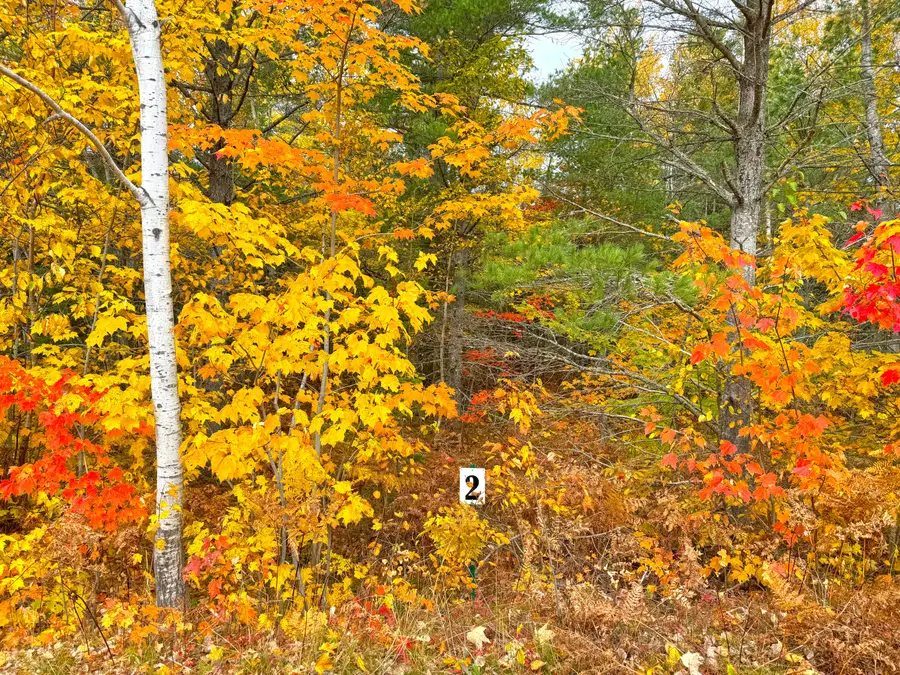14859 N Whitefish Point Rd, Paradise, MI 49768 - #2