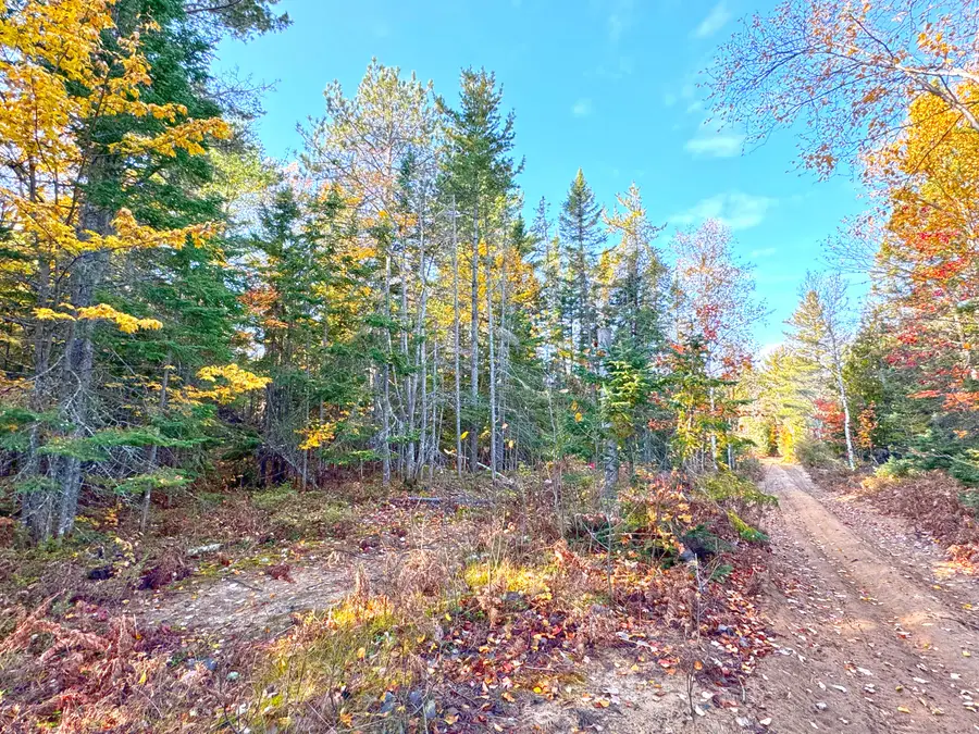 14859 N Whitefish Point Rd, Paradise, MI 49768 - #3