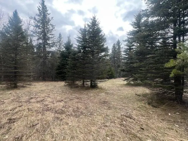 27590 S Raber Rd, Goetzville, MI 49736 - #3