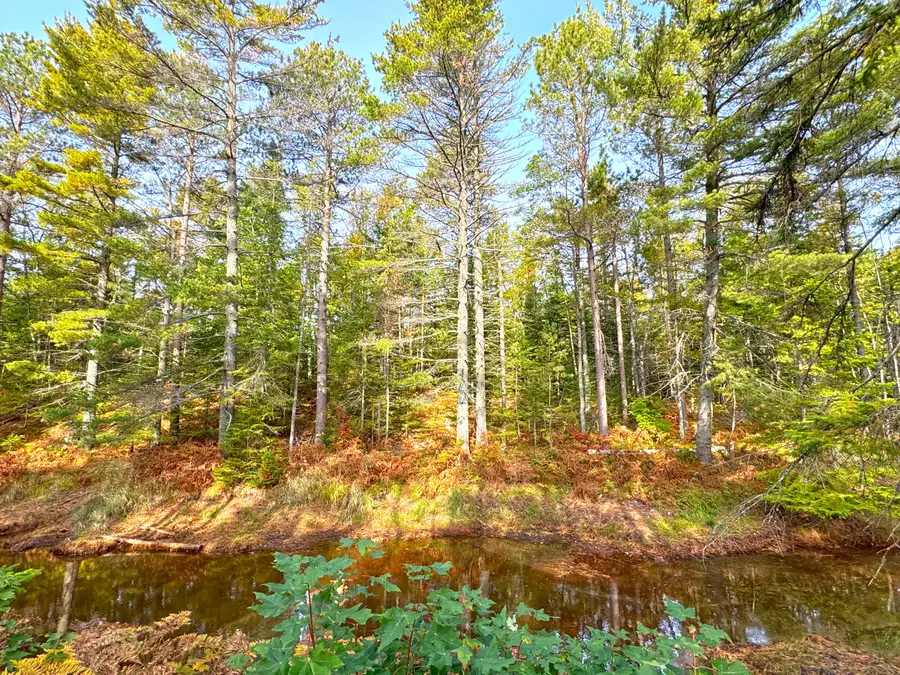 LOT 7 Third Creek Subdivision, Paradise, MI 49768 - #3