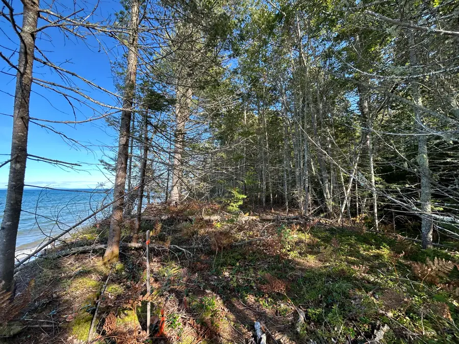33010 W Wildcat Rd, Paradise, MI 49768 - #3