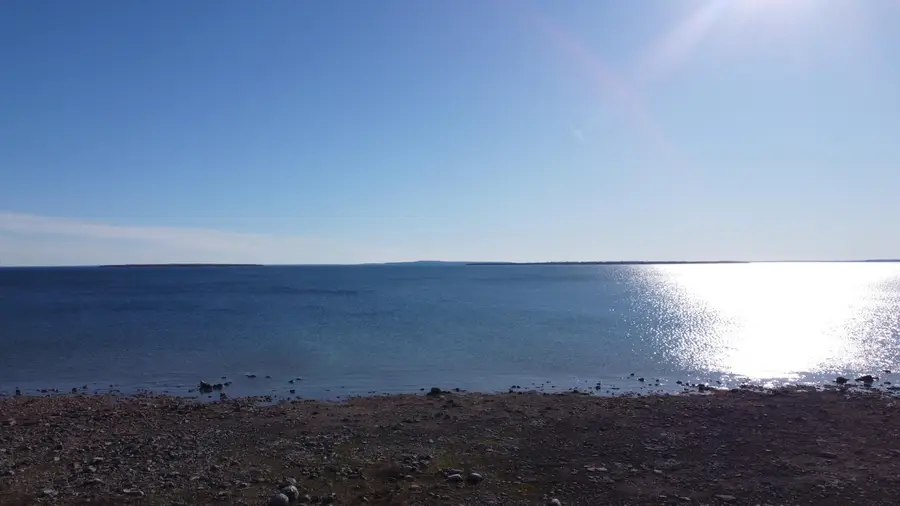 336 E Pontchartrain Trl, Hessel, MI 49745 - #2