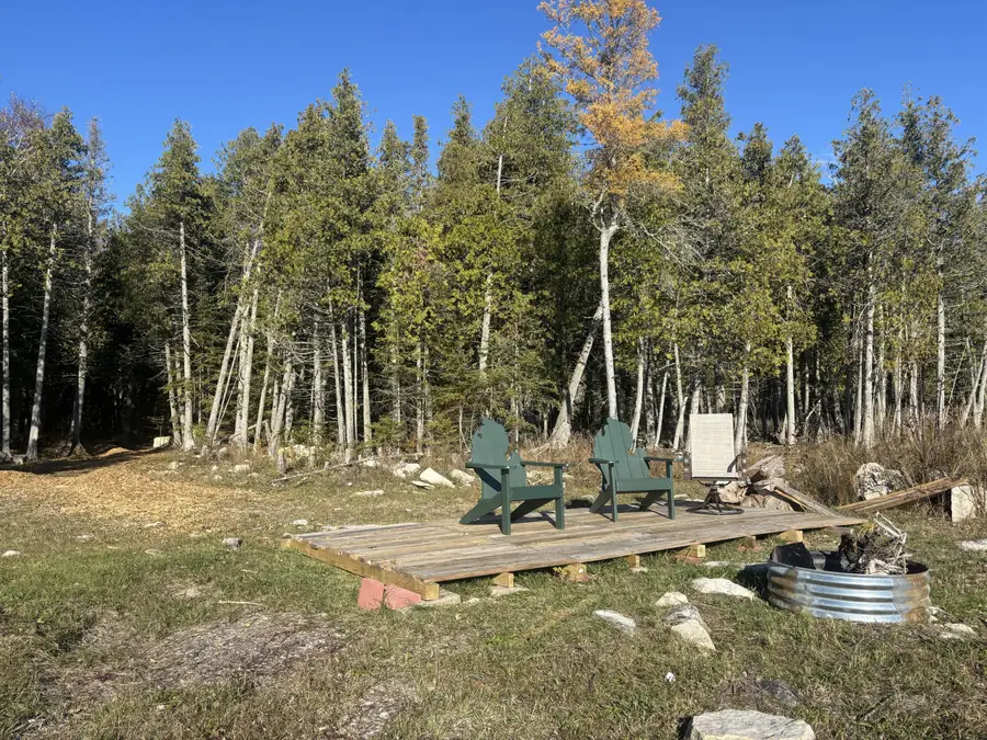 336 E Pontchartrain Trl, Hessel, MI 49745 - #3