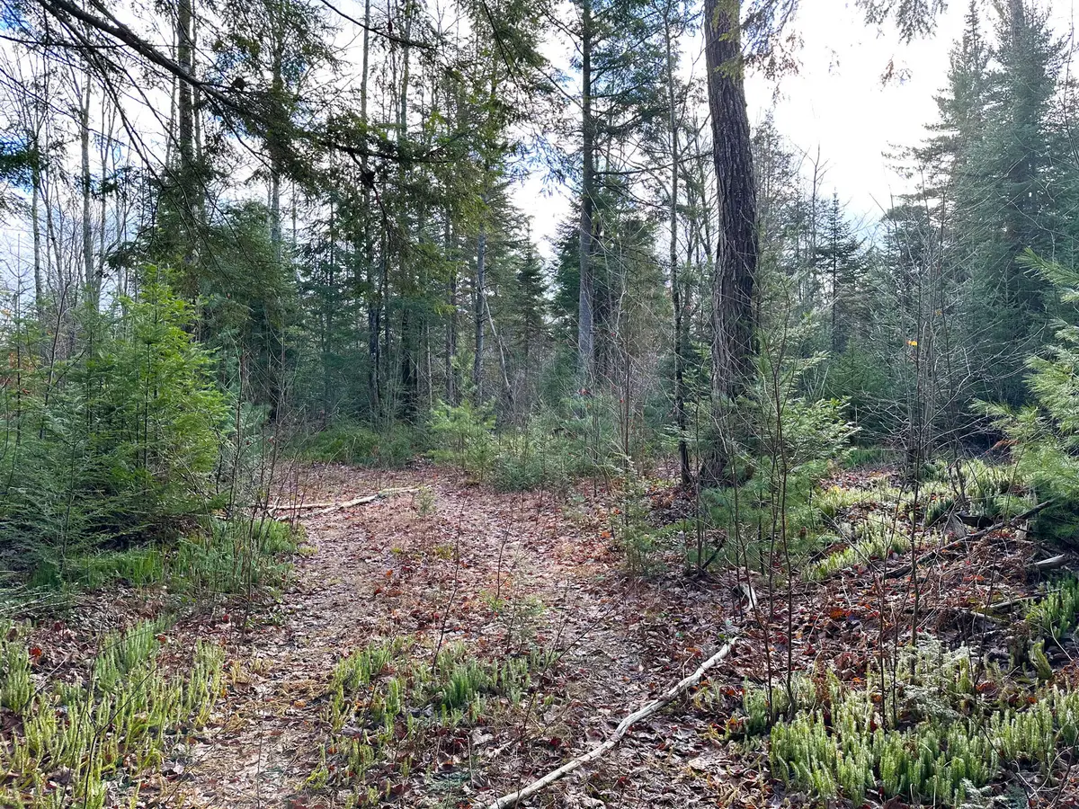 TBD M-123, Trout Lake, MI 49793 - #1