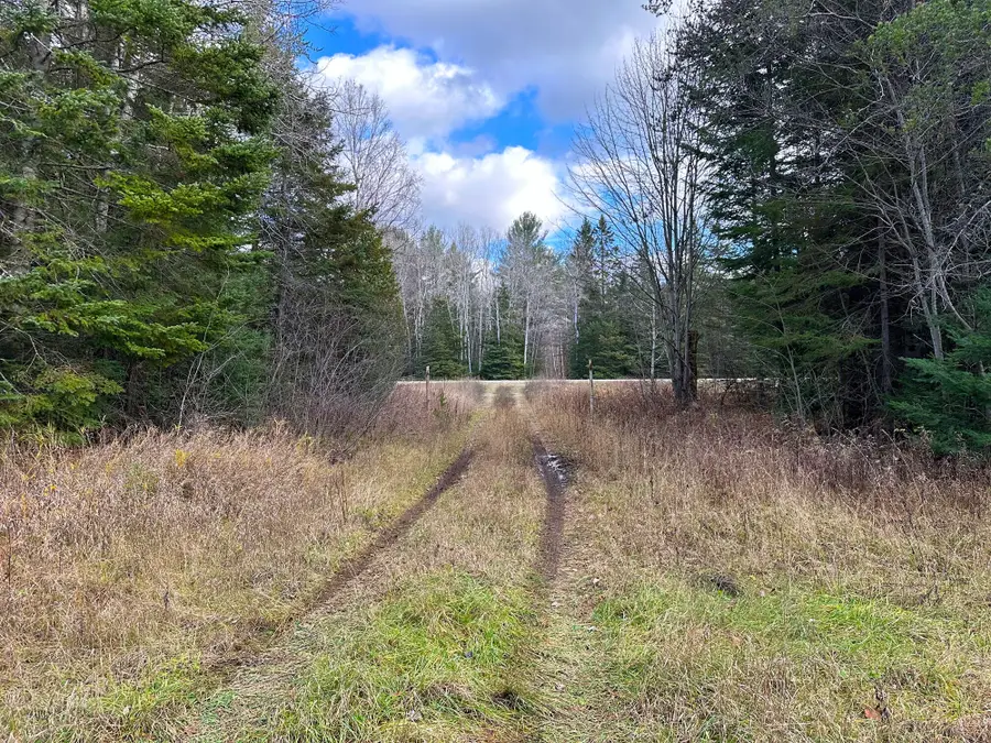 TBD M-123, Trout Lake, MI 49793 - #3