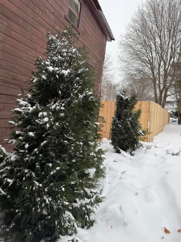 305 E Truman St, Newberry, MI 49868