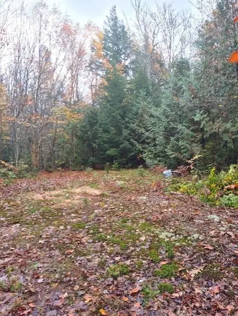 2137 N Hulbert Rd, Paradise, MI 49768 - #3