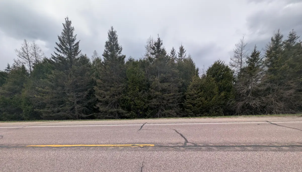 000 M-123, Moran, MI 49760 - #1