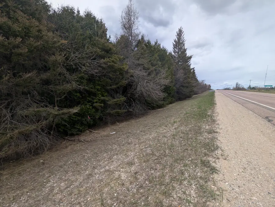 000 M-123, Moran, MI 49760 - #2