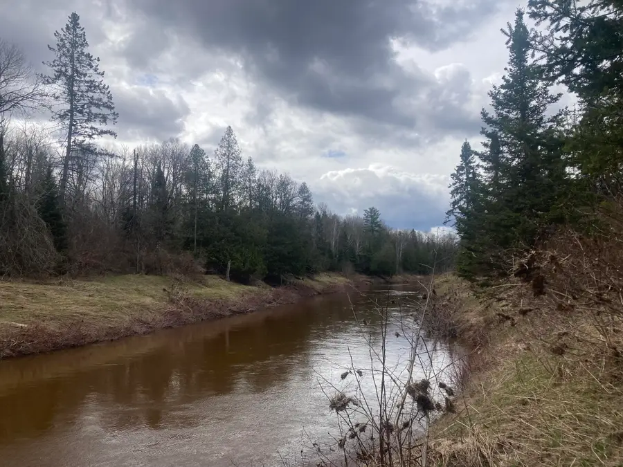 7487 N Mackinac Trl, Rudyard, MI 49780 - #2