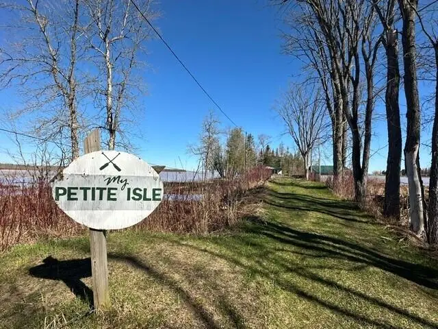 11103 E Petite Isle Rd, Pickford, MI 49774 - #2