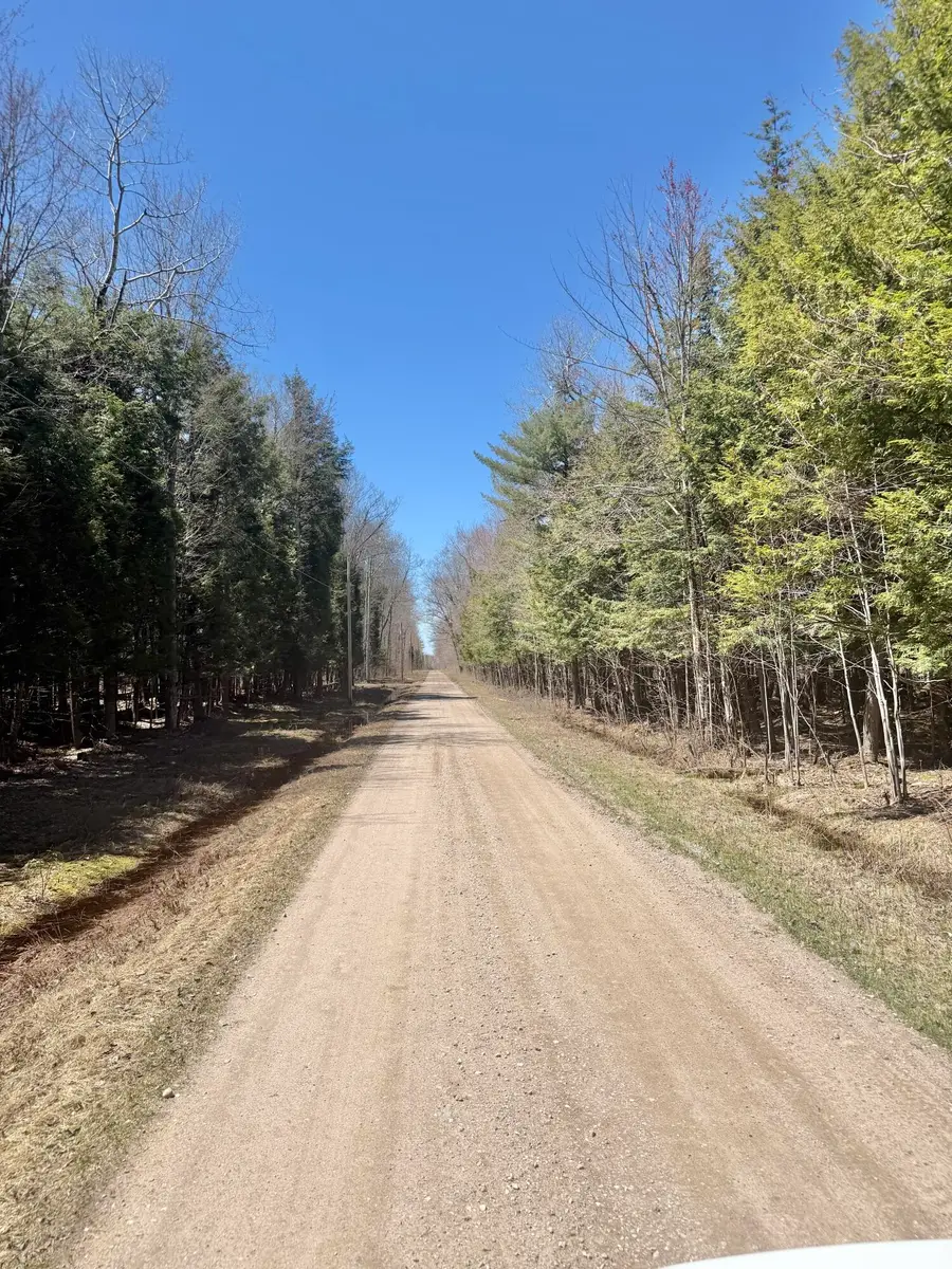 4475 E 25 Mile Rd, Pickford, MI 49774 - #2