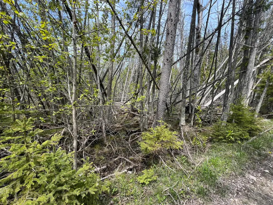 58 Rocky Rd, Pointe Aux Pins, MI 49775 - #2