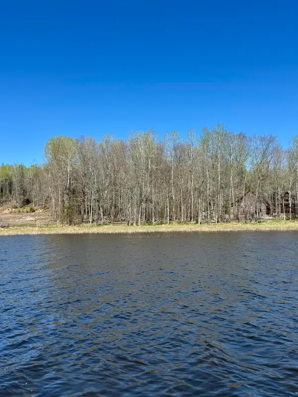 TBD E Fox Lair Trail, Cedarville, MI 49719