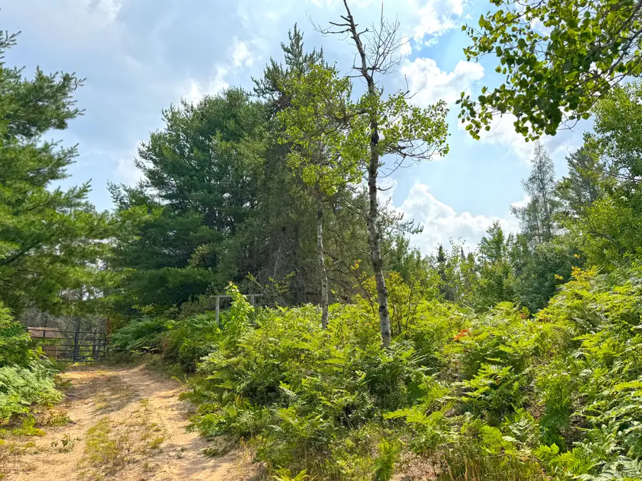 41213 W Betsy River Rd, Paradise, MI 49768 - #3