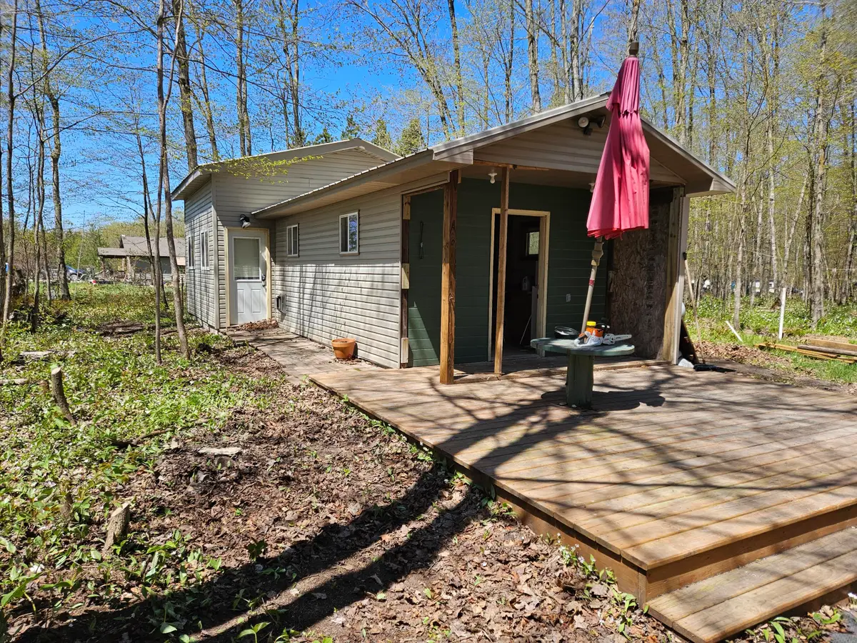 W15586 Sandtown Rd, Curtis, MI 49820 - #1