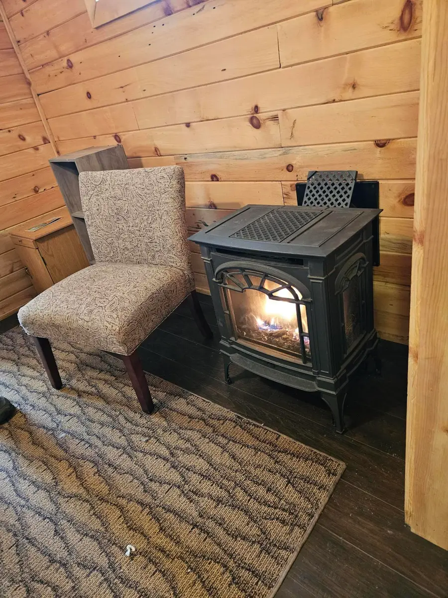 W15586 Sandtown Rd, Curtis, MI 49820 - #2