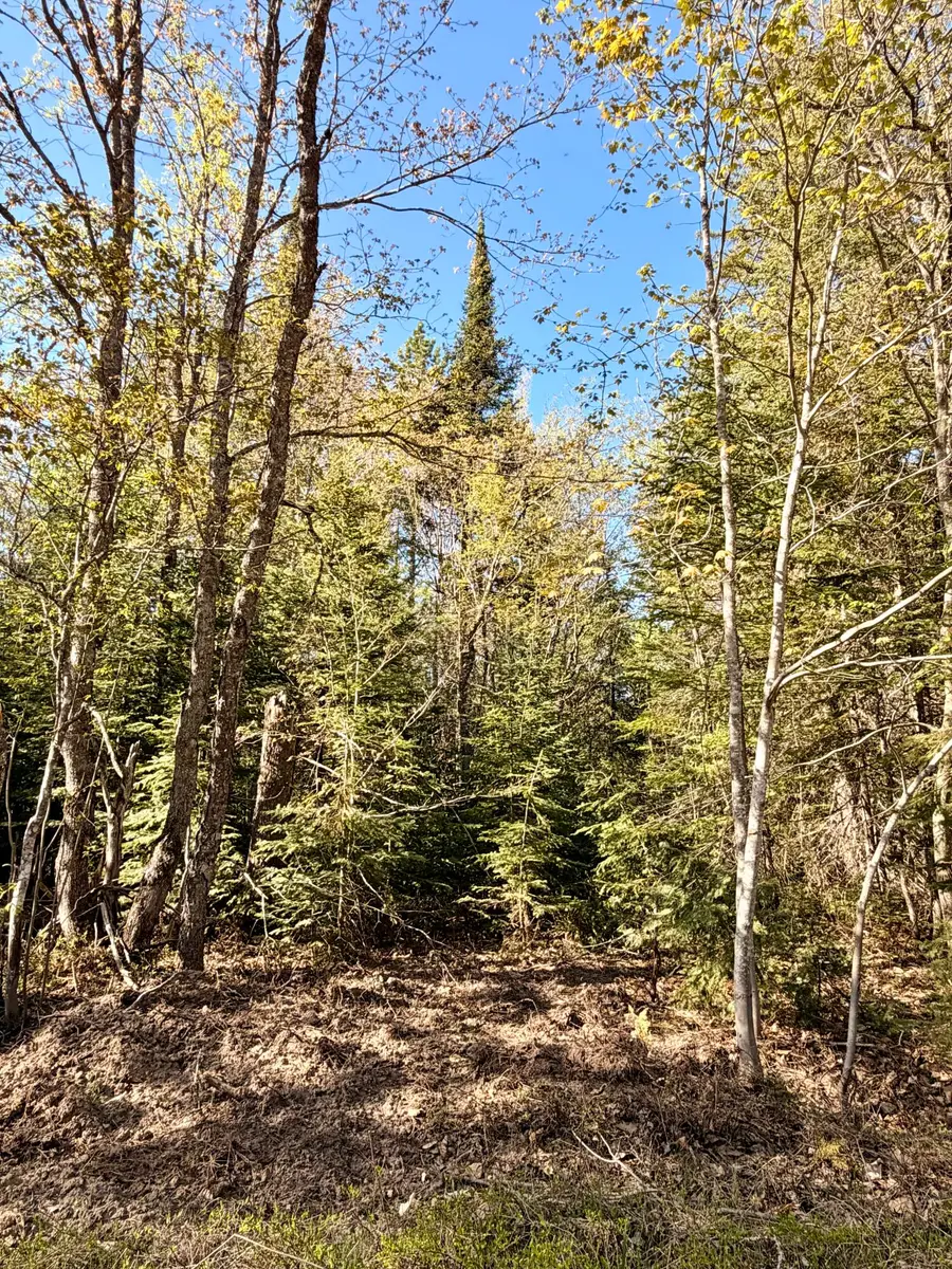 000 County Road 422, McMillan, MI 49853 - #3