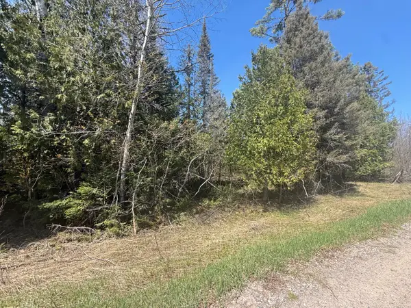 0 S Salt Point Rd, Eckerman, MI 49728