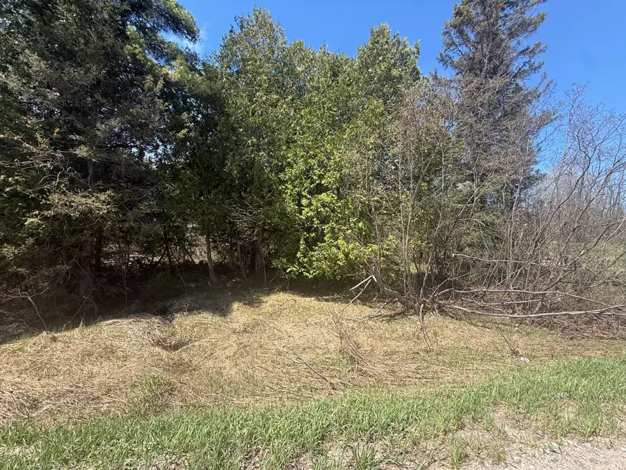 0 S Salt Point Rd, Eckerman, MI 49728 - #2