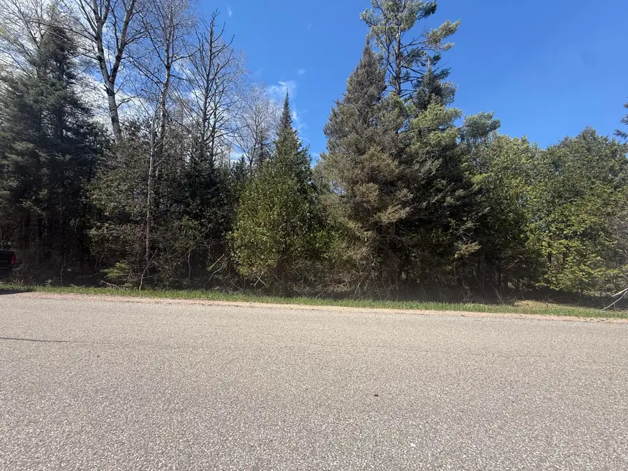 0 S Salt Point Rd, Eckerman, MI 49728 - #3