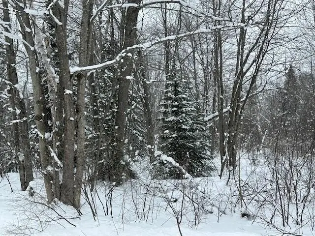 00 S West Birch Point Loop, Bay Mills, MI 49715 - #1