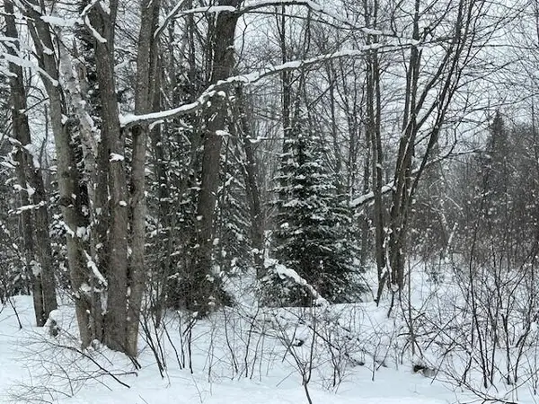 00 S West Birch Point Loop, Brimley/Bay Mills, MI 49715